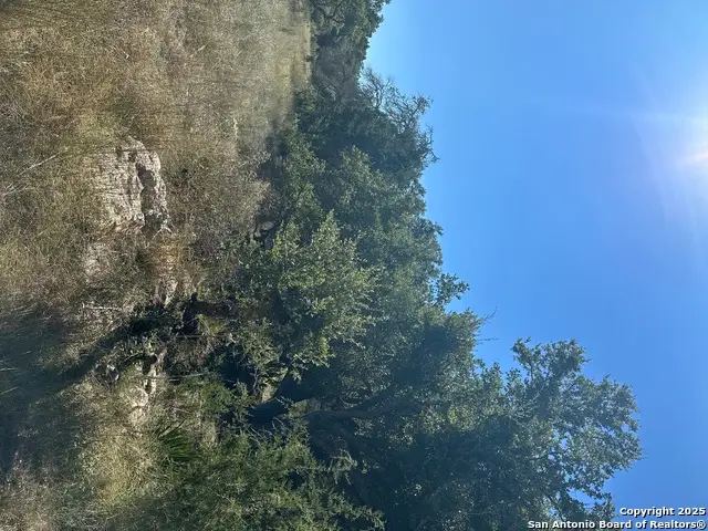 132 Lexington, Canyon Lake, TX 78133 - Image #2