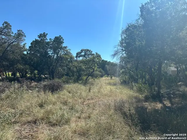 132 Lexington, Canyon Lake, TX 78133 - Image #3