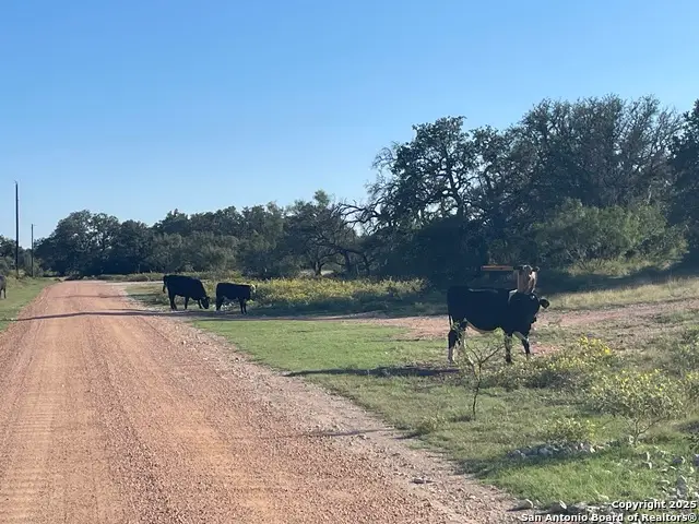 3200 Elm Springs Trl, Menard, TX 76859 - Image #1