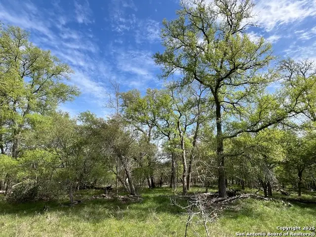 TBD Cunningham Dr, Lockhart, TX 78644 - #3