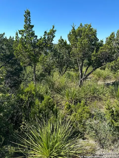 593 Ledgeview, Canyon Lake, TX 78133 - Image #2