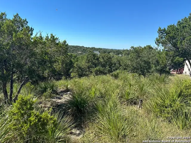 593 Ledgeview, Canyon Lake, TX 78133 - Image #3