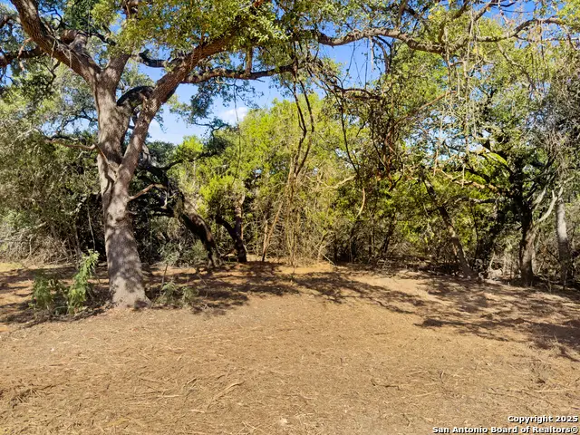 817 Rutherford, Fischer, TX 78623 - #2