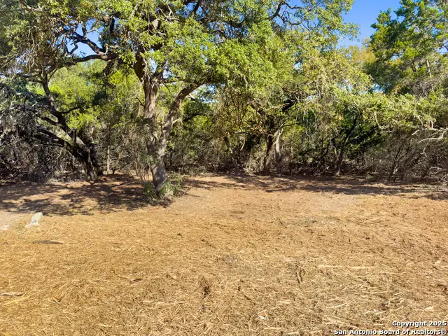 817 Rutherford, Fischer, TX 78623 - #3