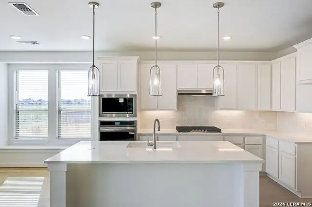 203 Bodensee Place, New Braunfels, TX 78130 - #2