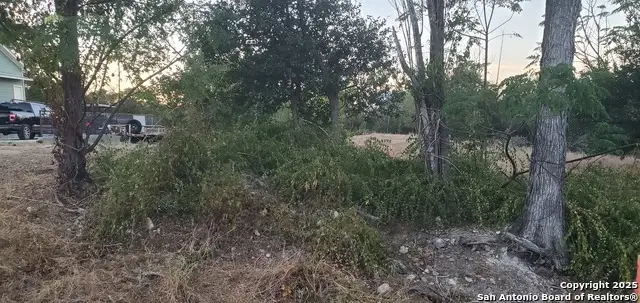 717 Dittlinger, New Braunfels, TX 78130 - Image #3