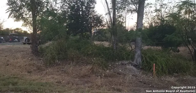 747 Dittlinger, New Braunfels, TX 78130 - Image #1