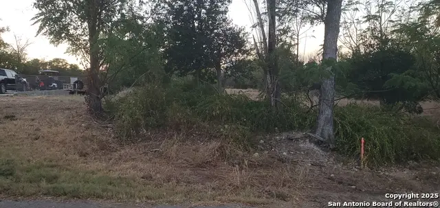 747 Dittlinger, New Braunfels, TX 78130 - Image #2