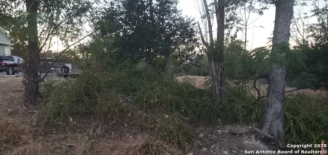 747 Dittlinger, New Braunfels, TX 78130 - Image #3