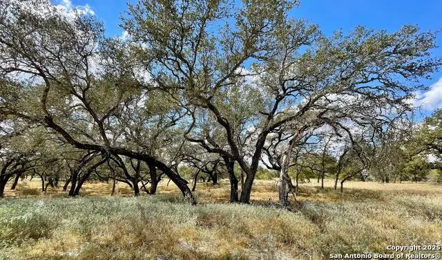 265 Firewheel Loop, Floresville, TX 78114 - #1