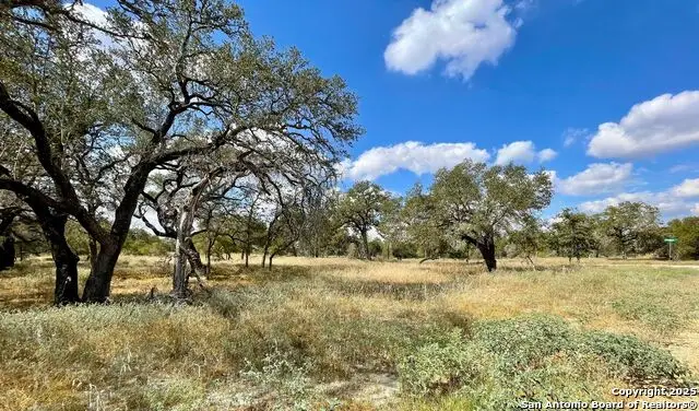 265 Firewheel Loop, Floresville, TX 78114 - #2