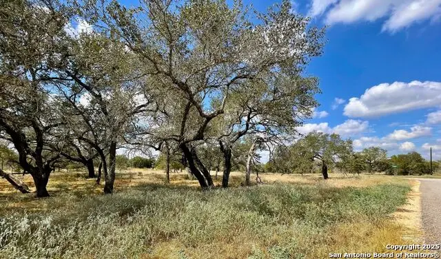 265 Firewheel Loop, Floresville, TX 78114 - #3