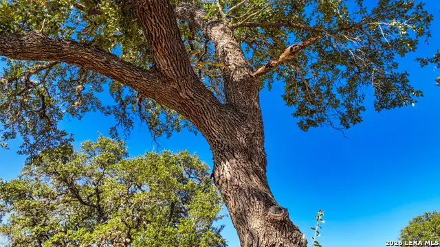 218 Quest Ave, Spring Branch, TX 78070 - #3