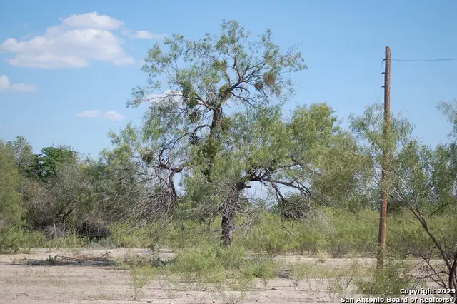 493 S Park Ln, Batesville, TX 78829 - Image #2