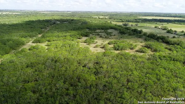 199 ACRES Cr 252, Stockdale, TX 78160 - Image #2