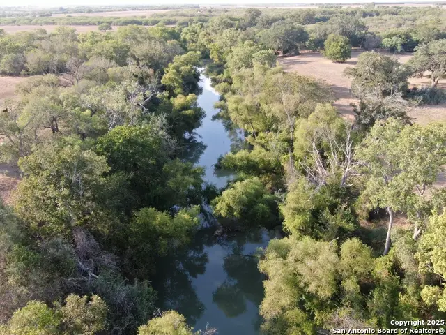 1429 County Road 212, Falls City, TX 78113 - Image #3