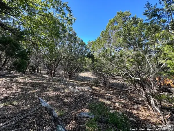 1040 Pinon, Fischer, TX 78623