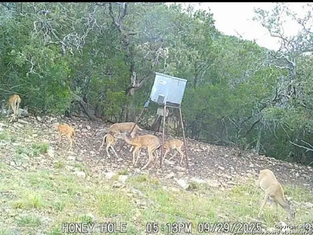 00 Black Waterhole Ranch, Rocksprings, TX 78880 - Image #2