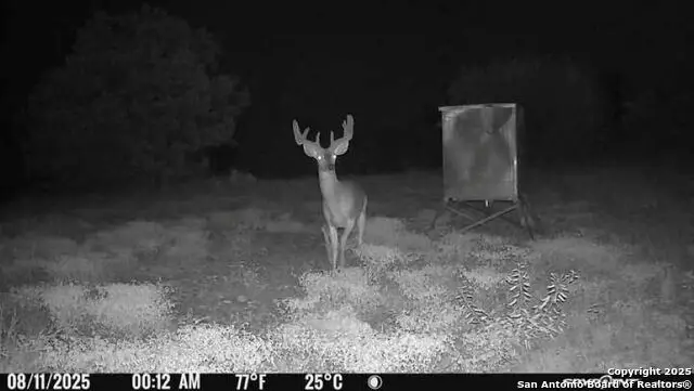 TBD Sd 45453, Rocksprings, TX 78880 - Image #1