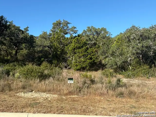 11115 Kendall Canyon, Boerne, TX 78006 - Image #3