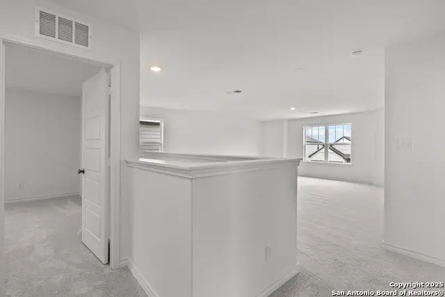 944 Heartseed Avenue, New Braunfels, TX 78130 - Image #2