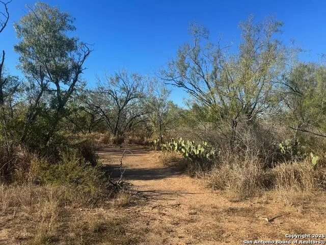 LOTS 2456-2458 Ave. J, Christine, TX 78012 - Image #1