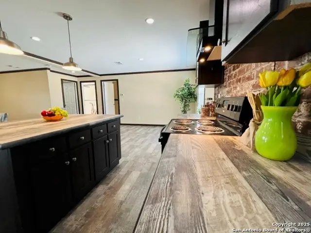 833 Cimarron, Spring Branch, TX 78070 - Image #3