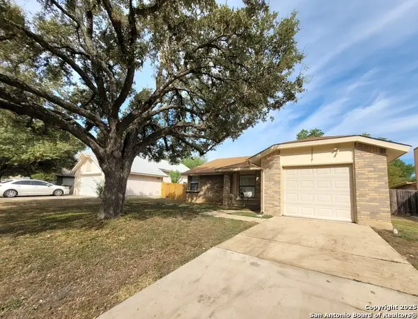 11419 Blue Mesa, San Antonio, TX 78245