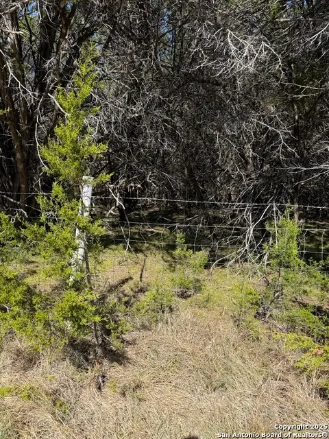 (LT) 395 Forest Trail Drive, Bandera, TX 78003 - Image #2
