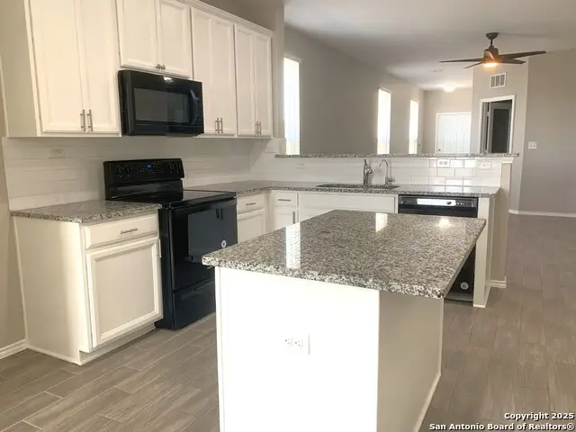 365 Autumn Blaze, New Braunfels, TX 78130 - Image #2