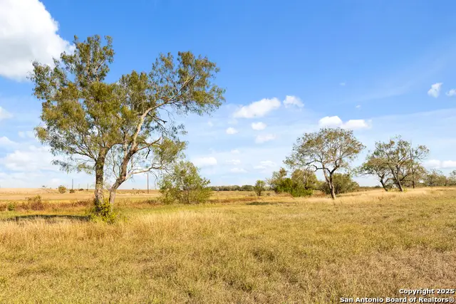 1299 County Road 450, Stockdale, TX 78160 - Image #3