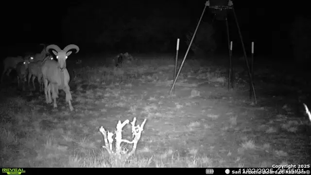 838 Fm 573 S, Mullin Priddy, TX 76864 - Image #2