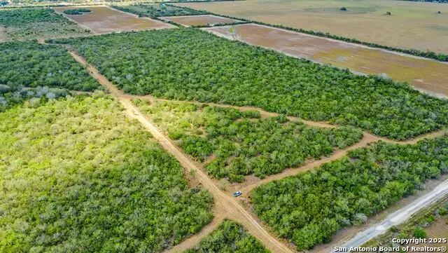 1121 County Road 481, Alice, TX 78332 - Image #1