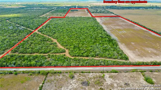 1121 County Road 481, Alice, TX 78332 - Image #2