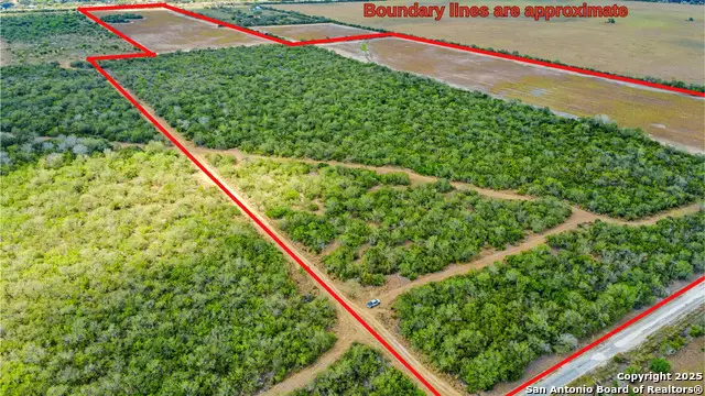 1121 County Road 481, Alice, TX 78332 - Image #3