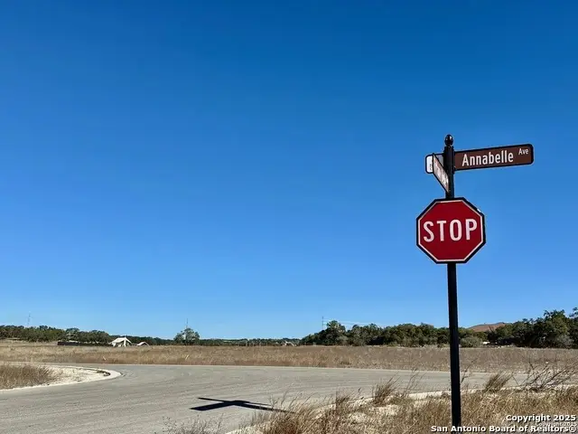 724 Annabelle, Bulverde, TX 78163 - Image #3