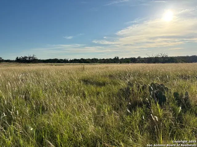 183 Lipan Loop, Harper, TX 78631 - Image #2