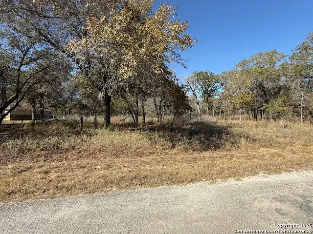 1009 Wild Flower, Floresville, TX 78114 - Image #2