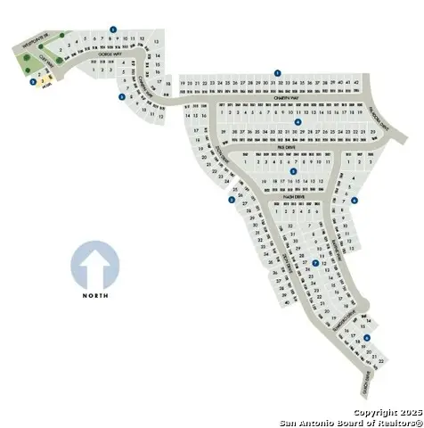 3004 Nash, New Braunfels, TX 78132 - Image #3