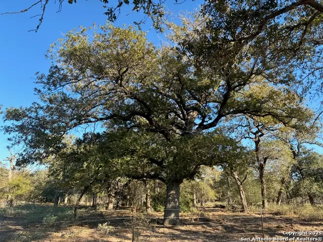 413 Batey Rd, Seguin, TX 78155 - Image #2