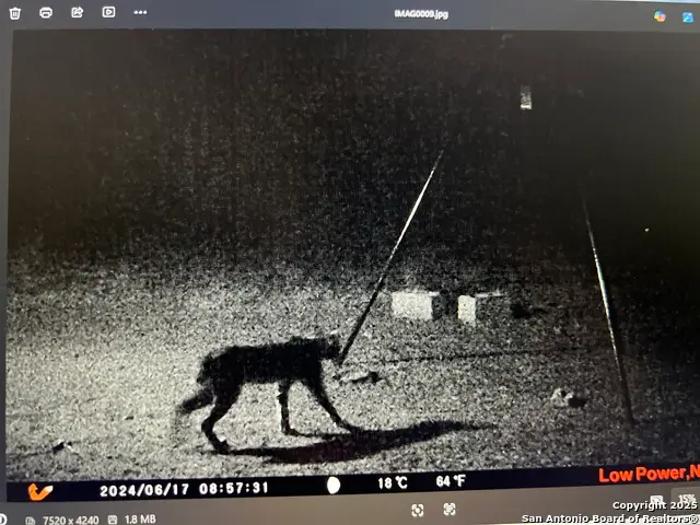 3287 Cr 349, Charlotte, TX 78011 - Image #3