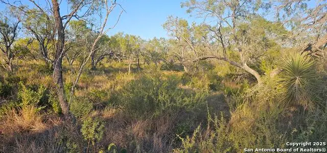 109 Sylas Hayes, Pleasanton, TX 78064 - Image #2