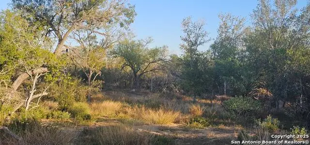 109 Sylas Hayes, Pleasanton, TX 78064 - Image #3