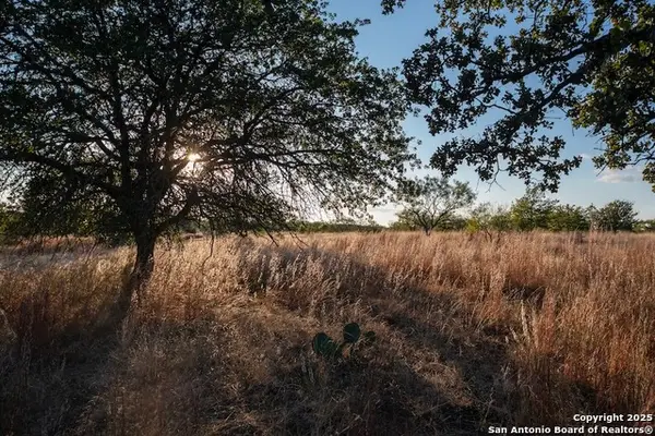 000 Black Jack Road, Fredonia, TX 76842