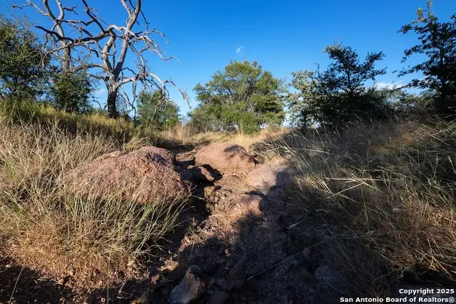 000 Black Jack Road, Fredonia, TX 76842 - Image #3