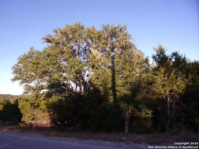 361/395 Mountain Wood, Canyon Lake, TX 78133 - #1