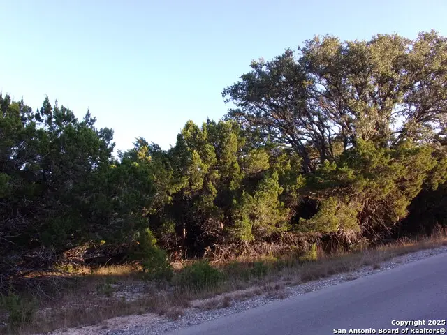 361/395 Mountain Wood, Canyon Lake, TX 78133 - #2