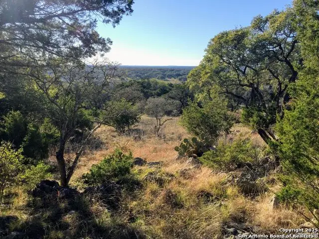 447 Coyote Trail, Spring Branch, TX 78070 - Image #1