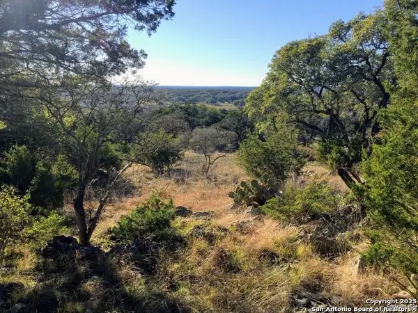447 Coyote Trail, Spring Branch, TX 78070