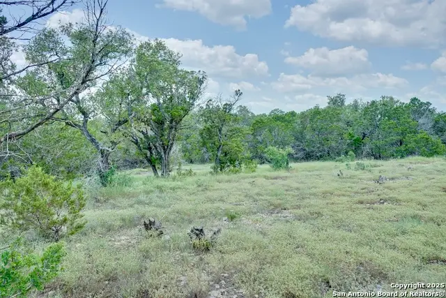 447 Coyote Trail, Spring Branch, TX 78070 - Image #2